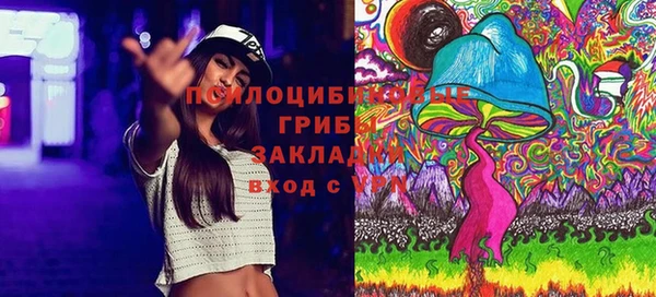 mdma Белокуриха