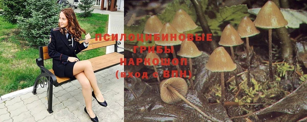 амф Приозерск