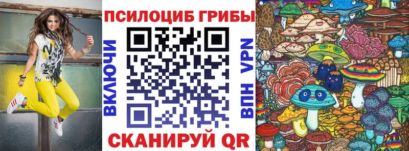 Галлюциногенные грибы Cubensis Купить где Выкса
